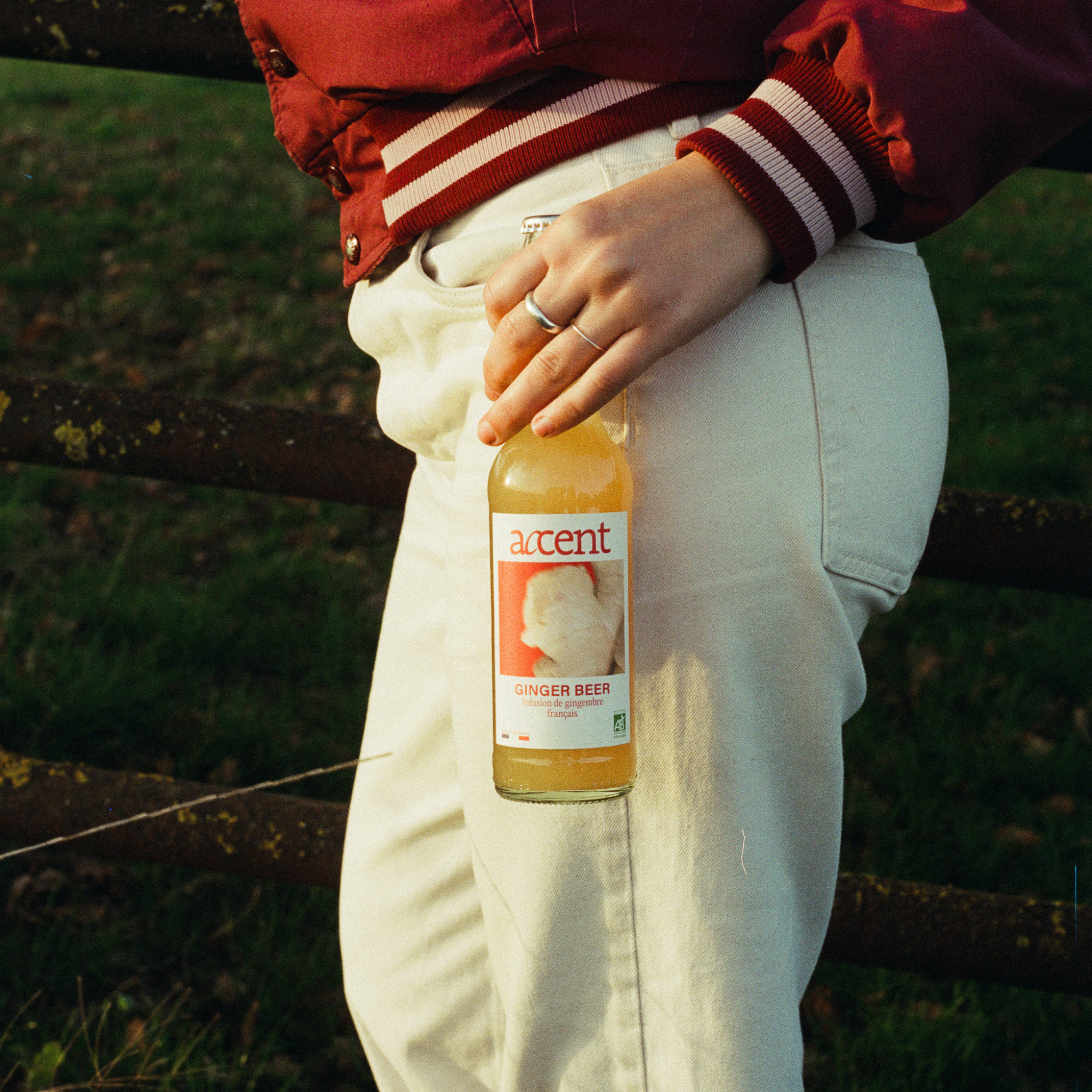 Accent - Ginger Beer - 24x33cl